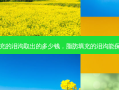 脂肪填充的泪沟取出的多少钱，脂肪填充的泪沟能保持多久