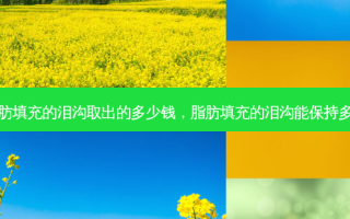 脂肪填充的泪沟取出的多少钱，脂肪填充的泪沟能保持多久