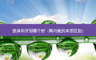 嵌体和牙冠哪个好（陶与瓷的本质区别）
