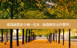 吸脂减肥多少钱一览表（抽脂整形费用）