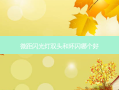 微距闪光灯双头和环闪哪个好