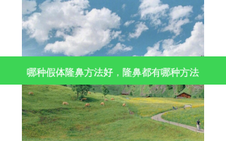 哪种假体隆鼻 *** 好，隆鼻都有哪种 *** 