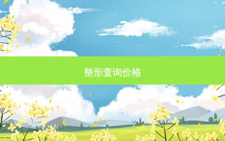 整形查询价格