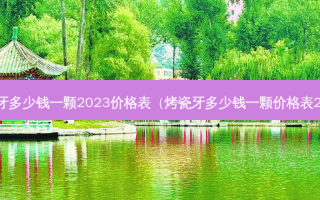 种植牙多少钱一颗2023价格表（烤瓷牙多少钱一颗价格表2023）