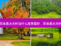菲洛嘉水光针加什么效果 *** 好，菲洛嘉水光针