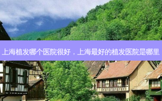 上海植发哪个医院很好，上海好的植发医院是哪里