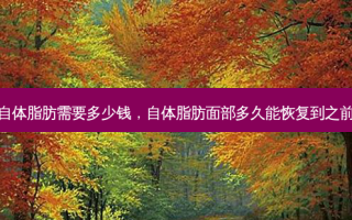 做脸部自体脂肪需要多少钱，自体脂肪面部多久能恢复到之前的样子