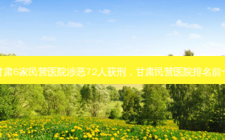 甘肃6家民营医院涉恶72人获刑，甘肃民营医院排名前十