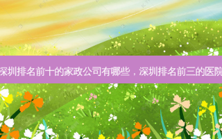 深圳排名前十的家政公司有哪些，深圳排名前三的医院
