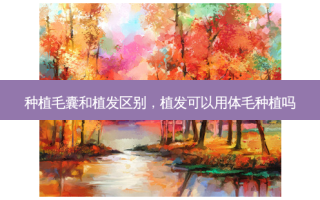种植毛囊和植发区别，植发可以用体毛种植吗