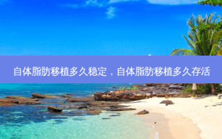 自体脂肪移植多久稳定，自体脂肪移植多久存活
