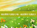 植发费用 毛囊多少钱，植发费用 毛囊多少