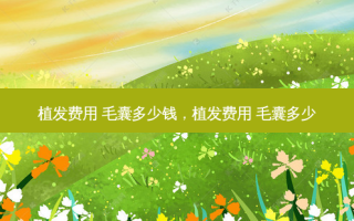 植发费用 毛囊多少钱，植发费用 毛囊多少