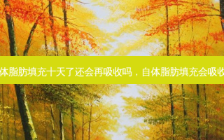 自体脂肪填充十天了还会再吸收吗，自体脂肪填充会吸收吗