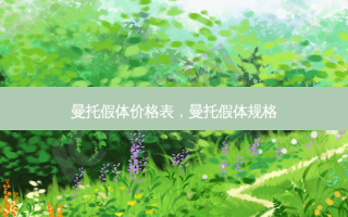 曼托假体价格表，曼托假体规格