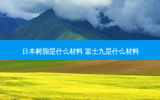 日本树脂是什么材料 富士九是什么材料