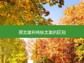 那支架和纯钛支架的区别