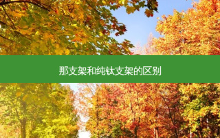 那支架和纯钛支架的区别
