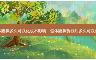 假体隆鼻多久可以化妆不影响，假体隆鼻拆线后多久可以化妆
