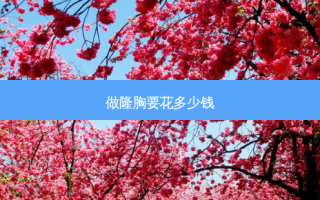 做隆胸要花多少钱