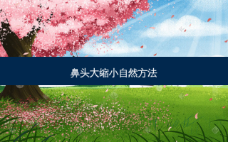 鼻头大缩小自然 *** 