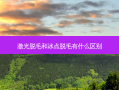 激光脱毛和冰点脱毛有什么区别