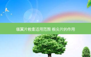 颌翼片检查适用范围 根尖片的作用