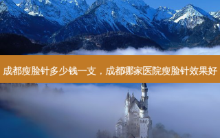 成都瘦脸针多少钱一支，成都哪家医院瘦脸针效果好